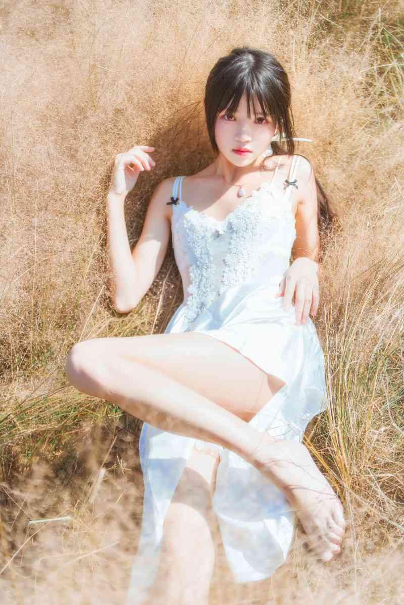 Coser@桜桃喵 原野上的浪漫
