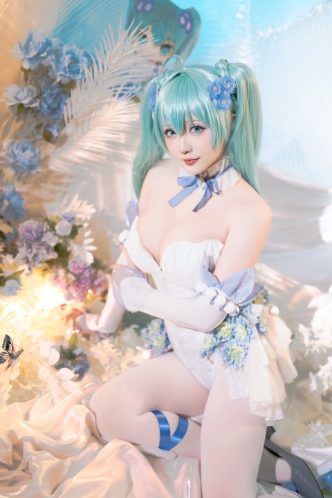 星之迟迟 24年02月计划A 初音未来-粉蝶花精灵