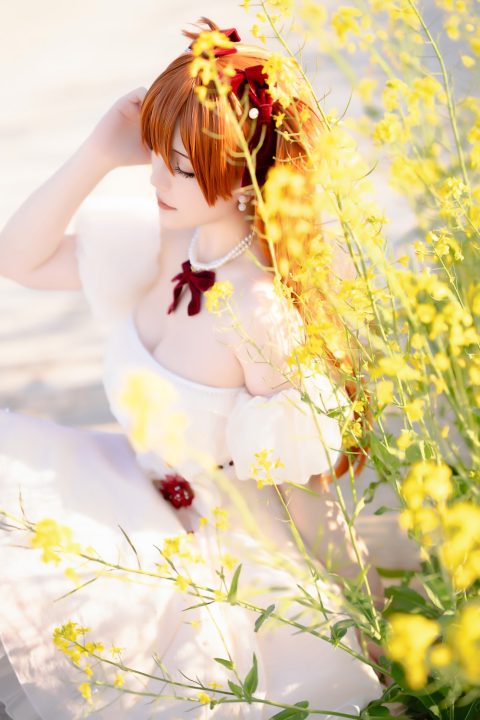 星之迟迟 EVA 明日香花之语