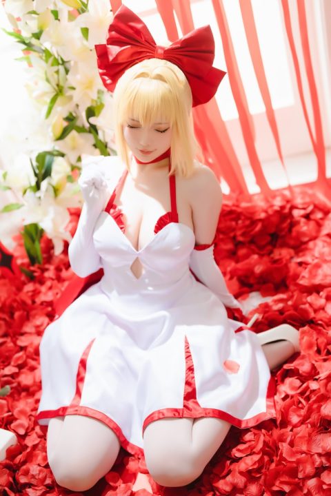 星之迟迟 6月 Fate 尼禄