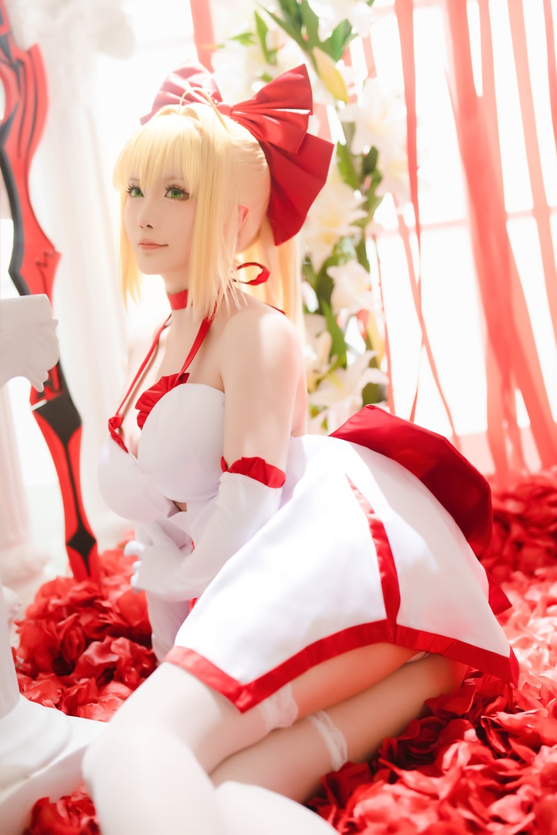 星之迟迟 6月 Fate 尼禄