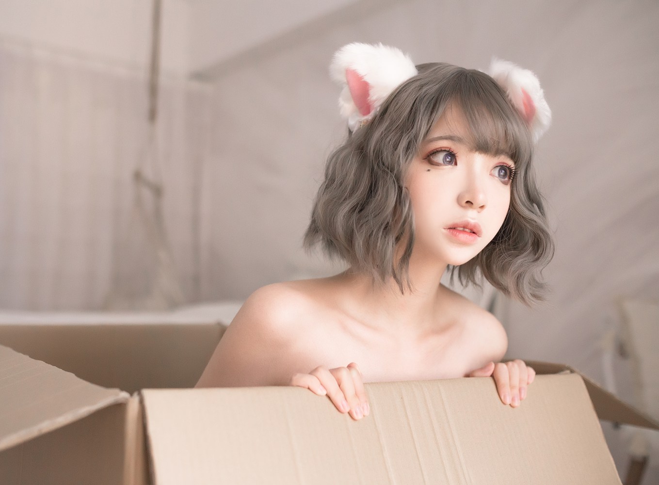 疯猫ss 白猫
