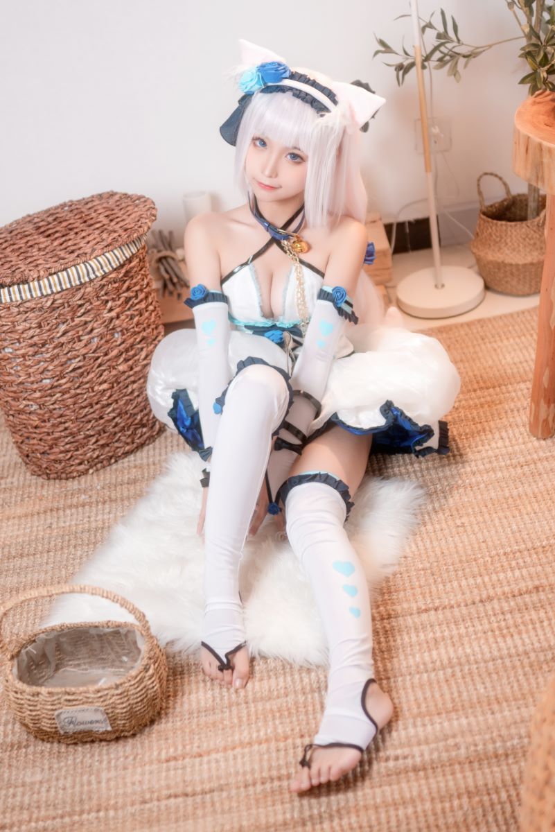 蠢沫沫 香子兰