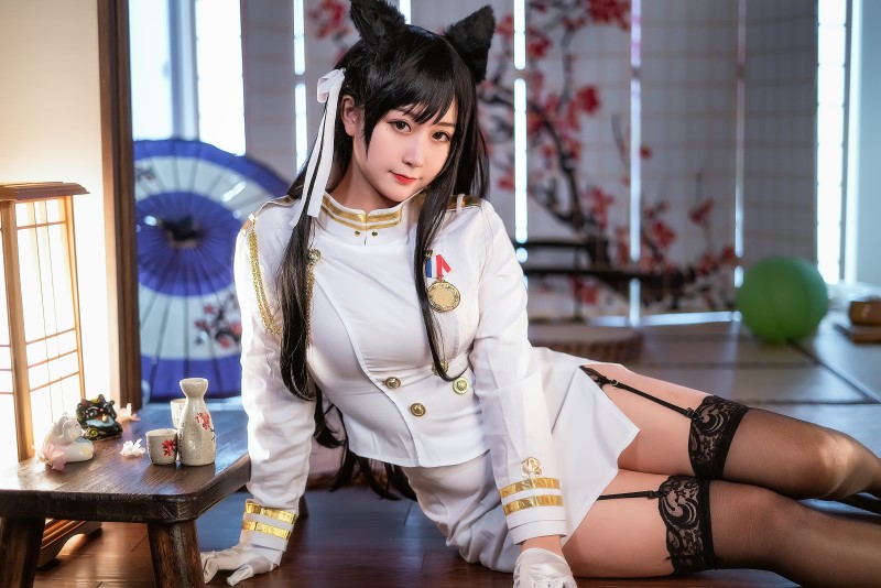 鳗鱼霏儿 双人本 舰队服