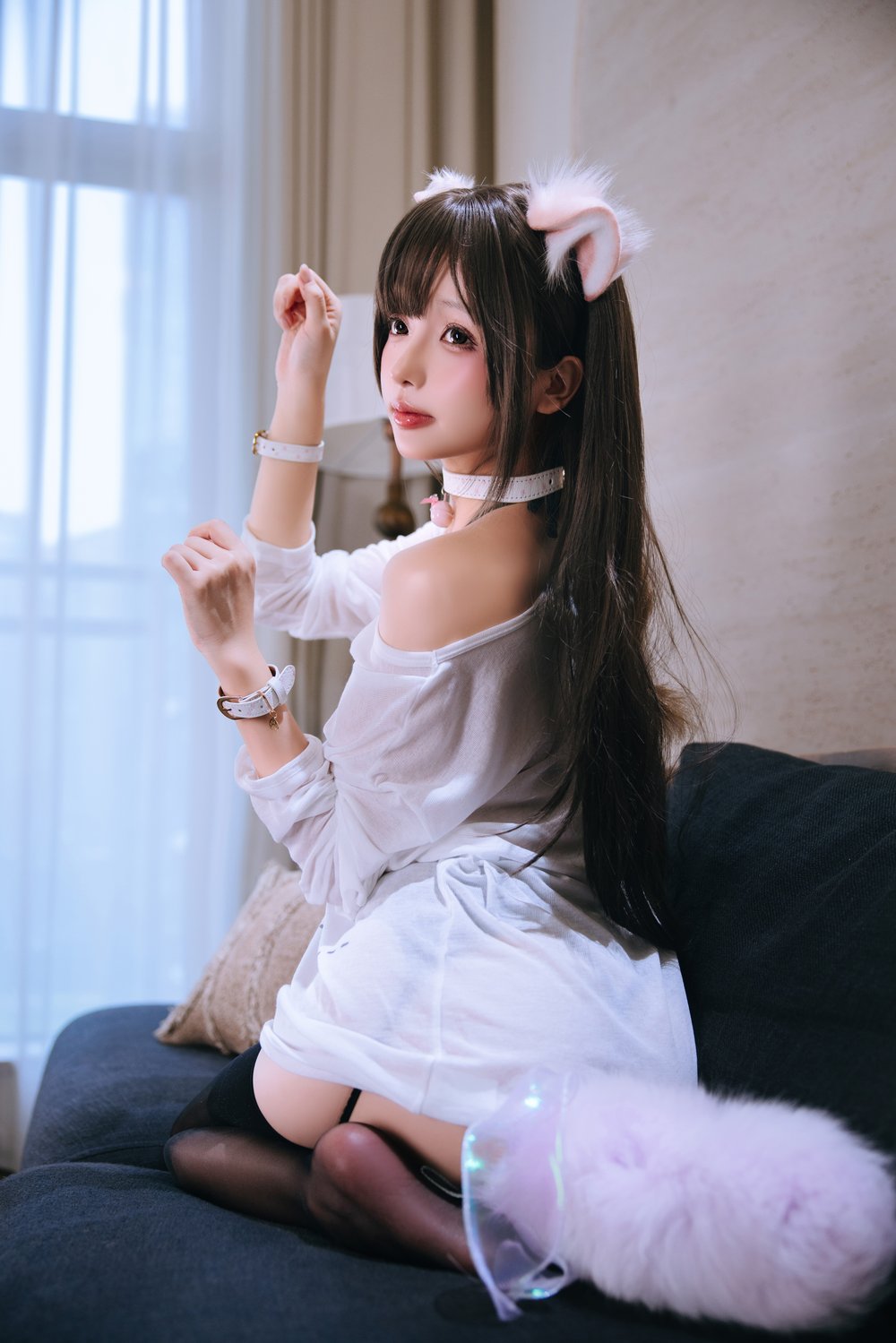 日奈娇 家里的猫