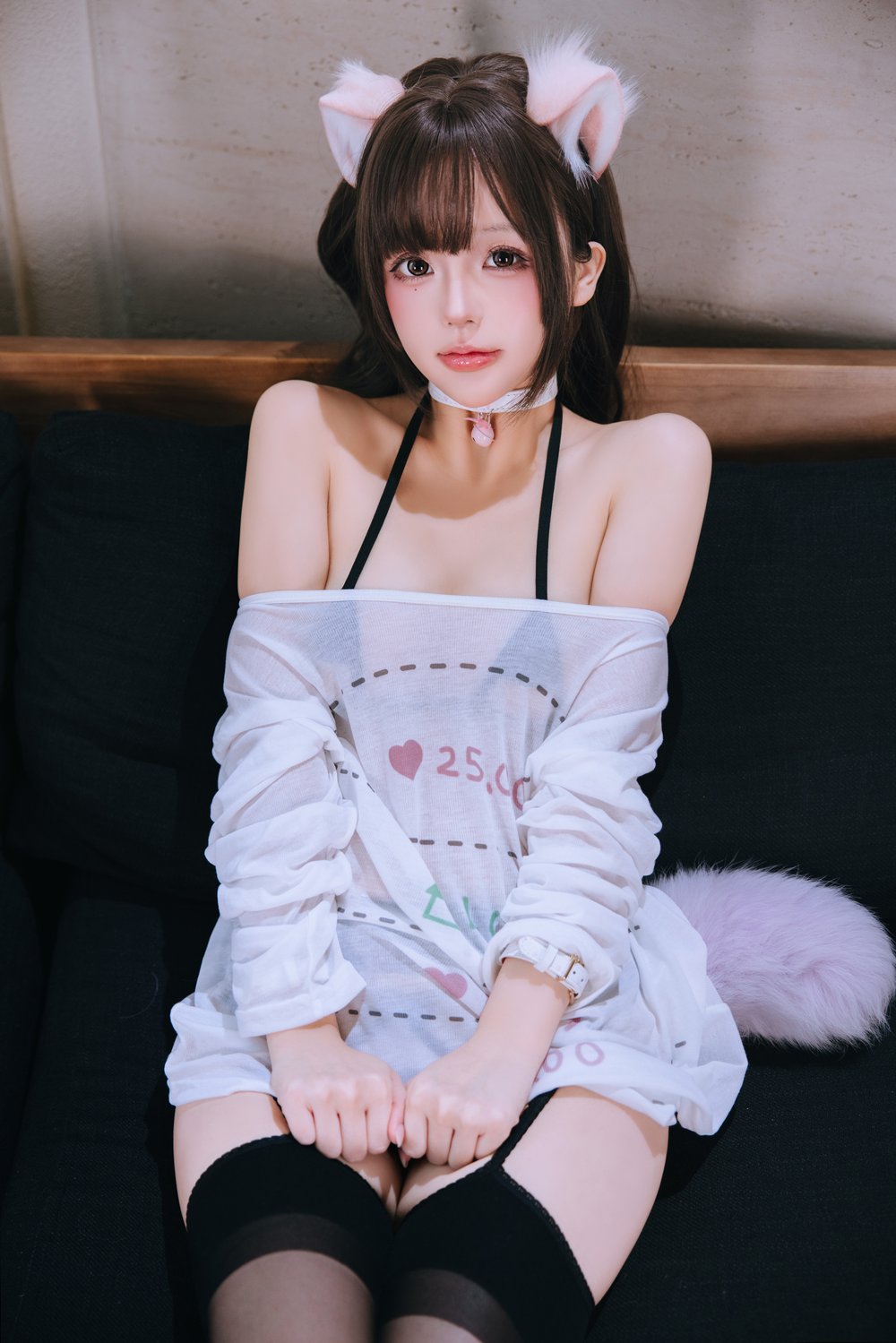 日奈娇 家里的猫